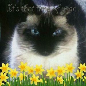 Meet your Posher, Karen